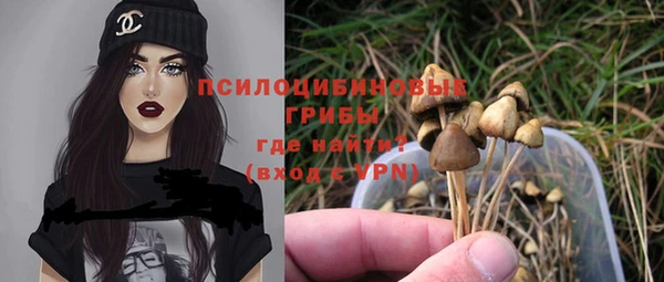mix Новозыбков