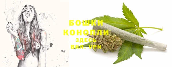 скорость Дубна