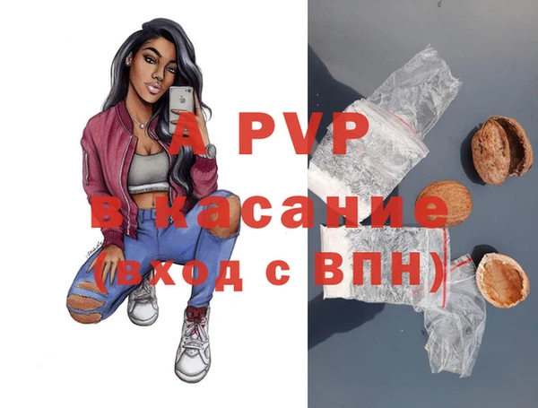 СК Новокубанск