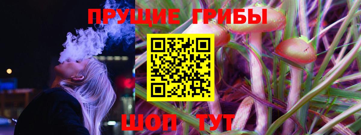 Карпинск  Галлюциногенные грибы Psilocybine cubensis  Вход с VPN 